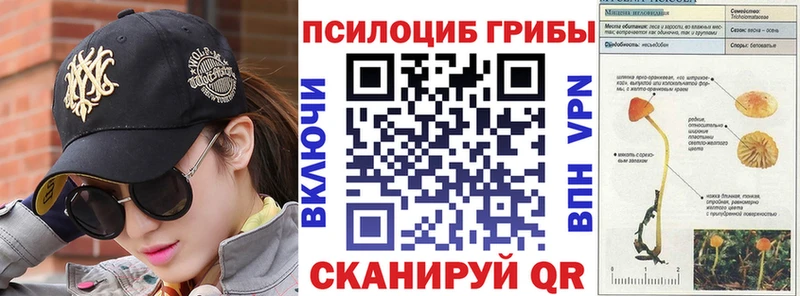Псилоцибиновые грибы GOLDEN TEACHER  Купить где  Ликино-Дулёво 